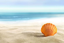 汉堡队在德甲比赛中获得胜利一泻千里