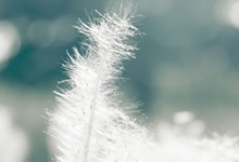 塞维利亚吞下惨败，遭遇连续失利