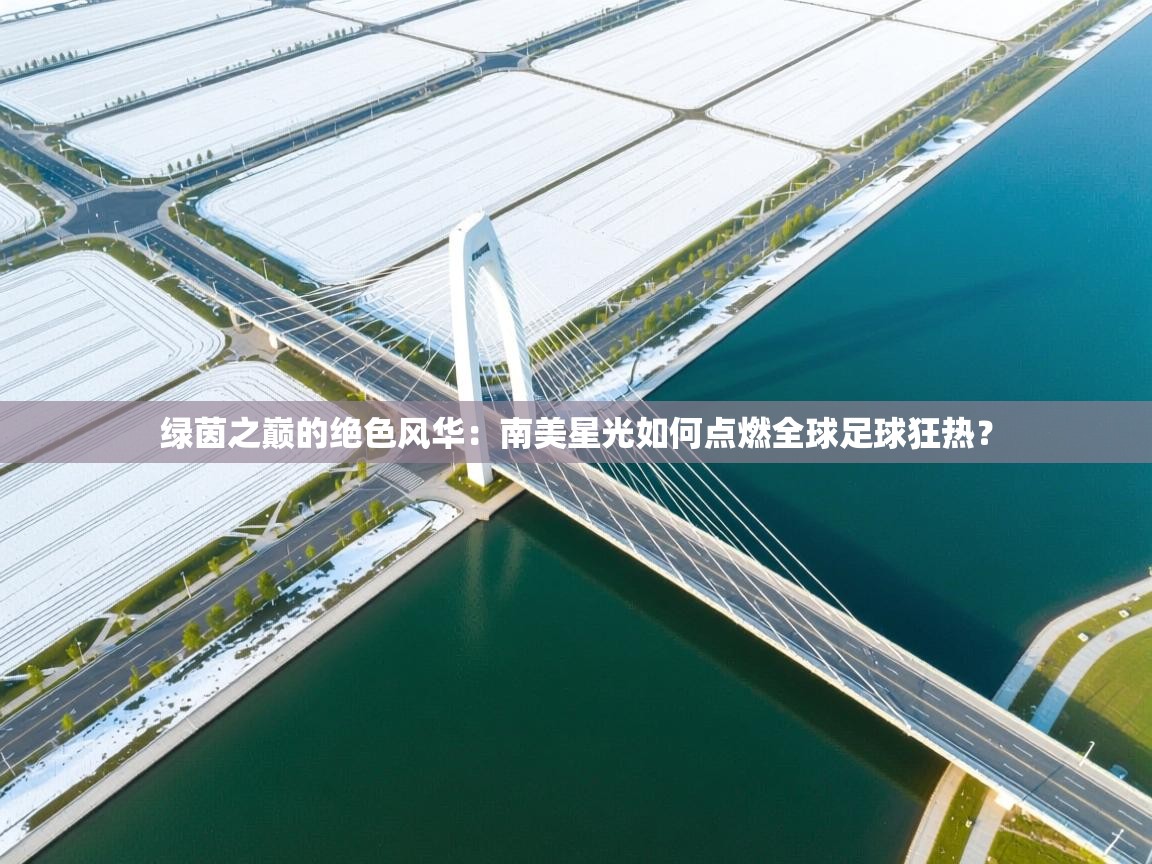 绿茵之巅的绝色风华：南美星光如何点燃全球足球狂热？