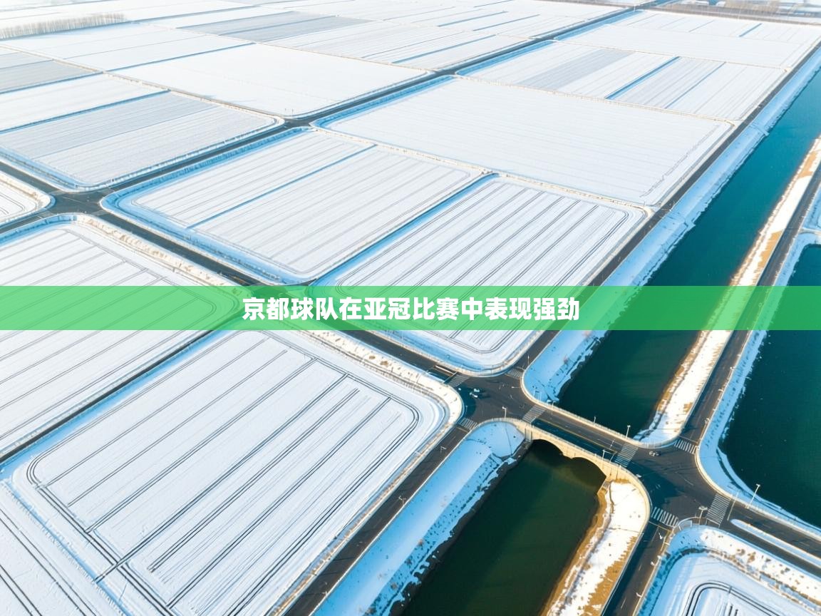 京都球队在亚冠比赛中表现强劲