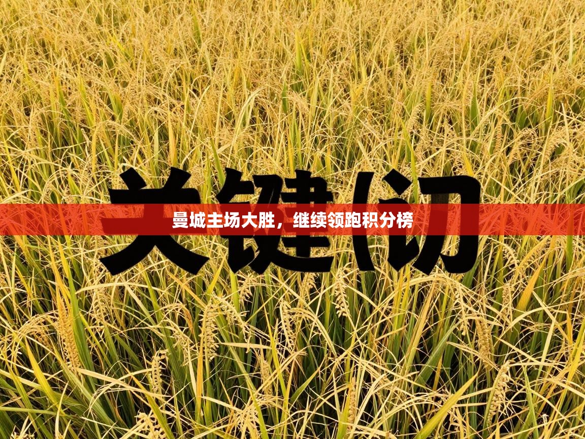 曼城主场大胜，继续领跑积分榜